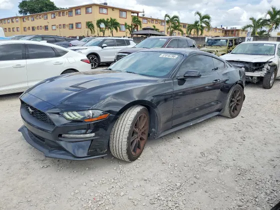 2019 Ford Mustang EcoBoost