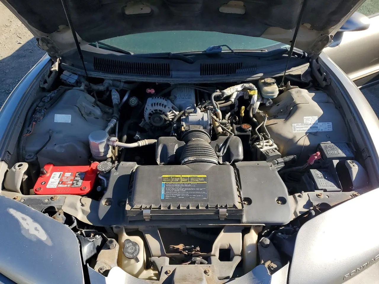 1999 Pontiac Firebird