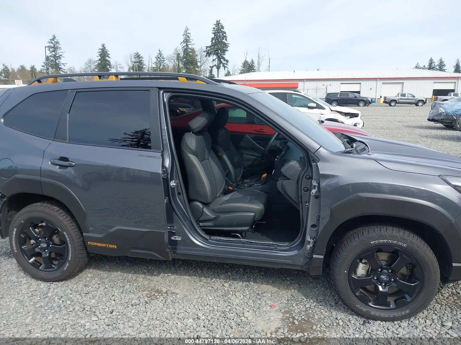 2024 Subaru Forester Wilderness