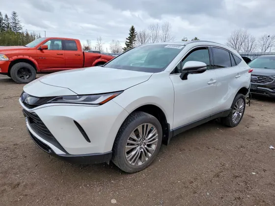 2023 Toyota Venza LE