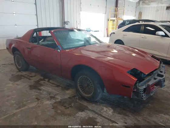 1982 Pontiac Firebird SE
