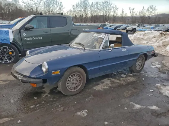 1977 Alfa Romeo Spider