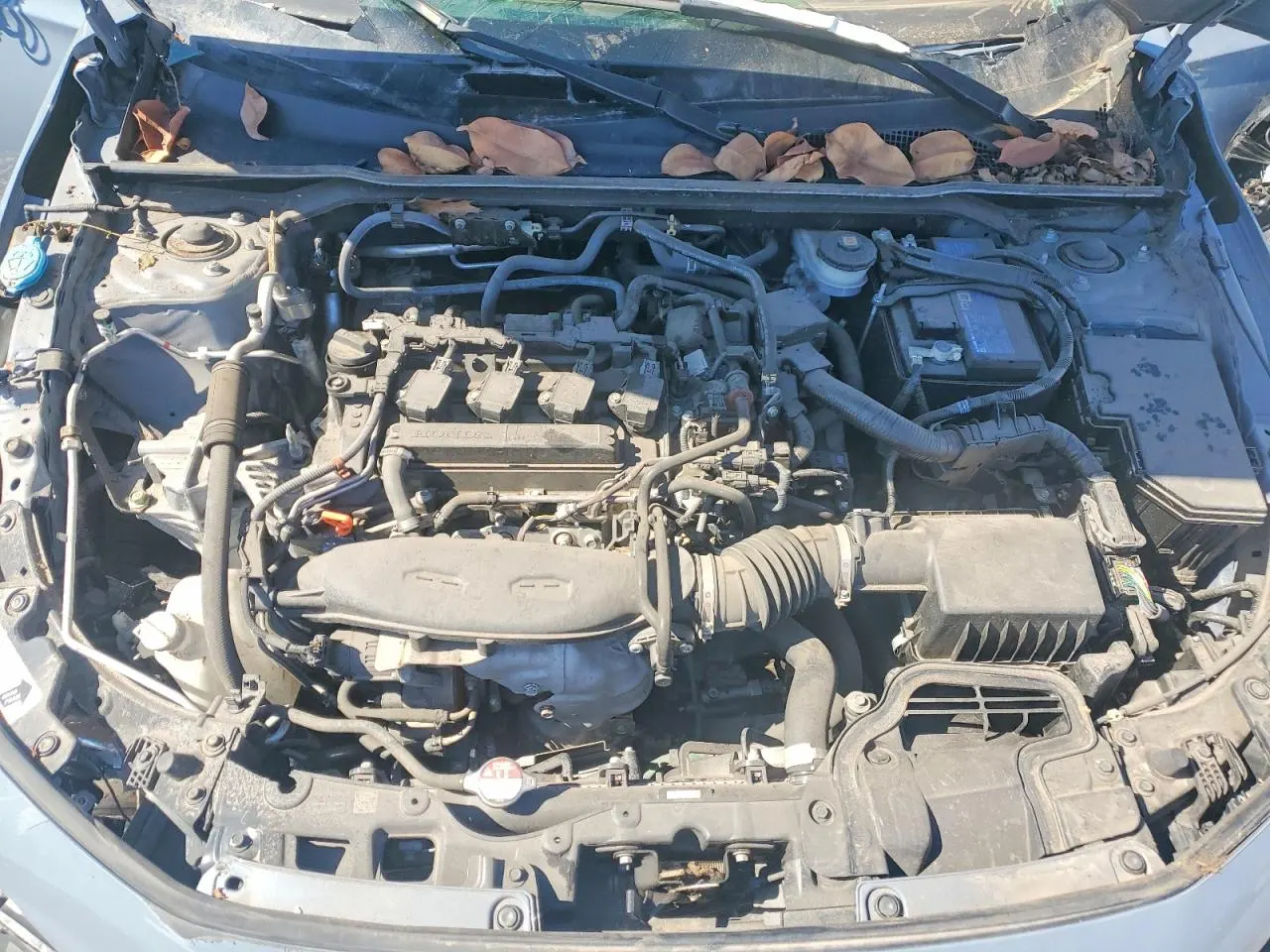 2024 Honda Civic Si CIVIC