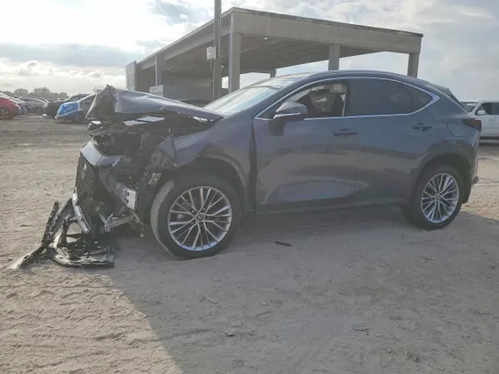 2024 Lexus NX NX 350 Luxury