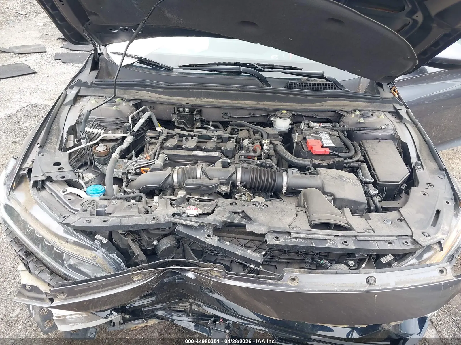2019 Honda Accord Sedan LX 1.5T