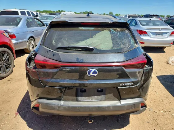 2020 Lexus UX UX 250h