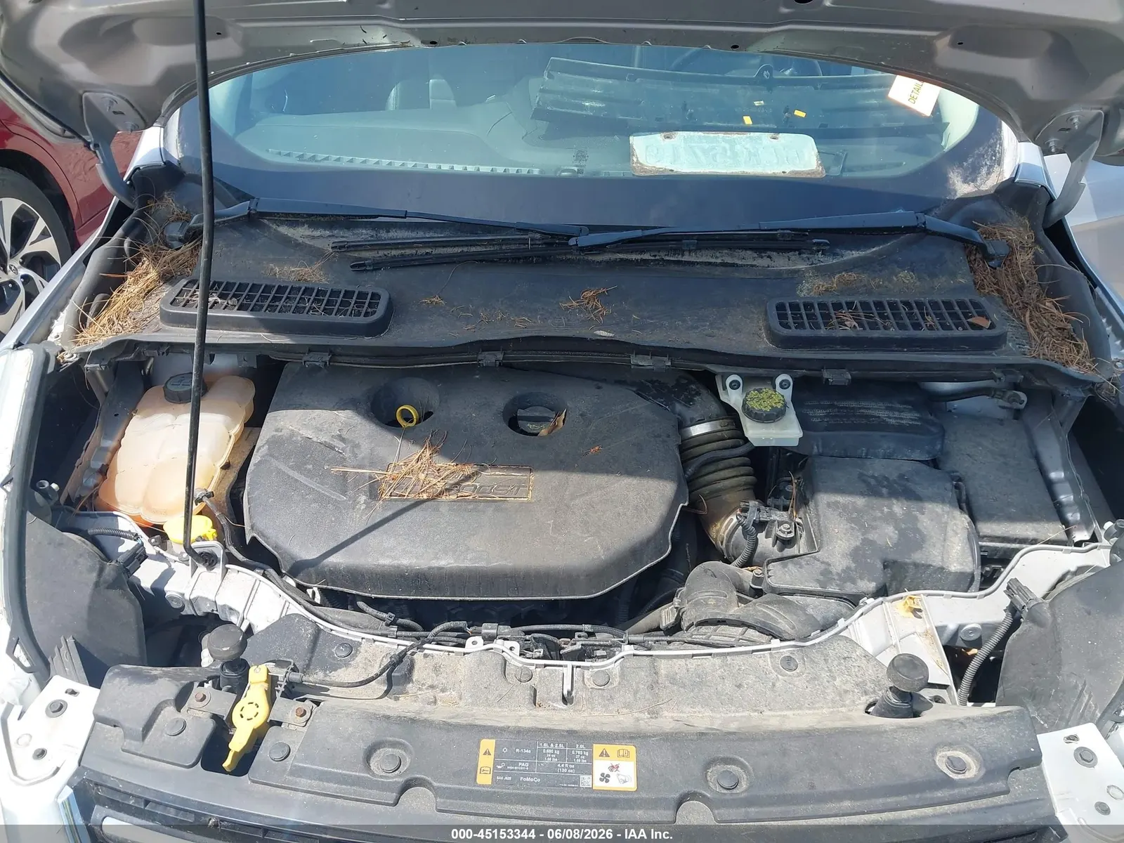 2013 Ford Escape SEL
