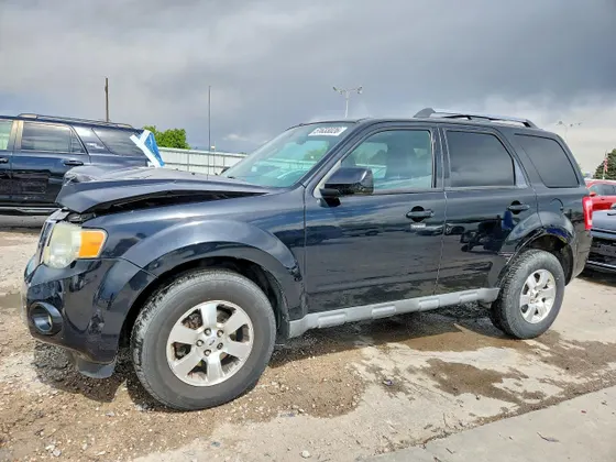 2010 Ford Escape Limited