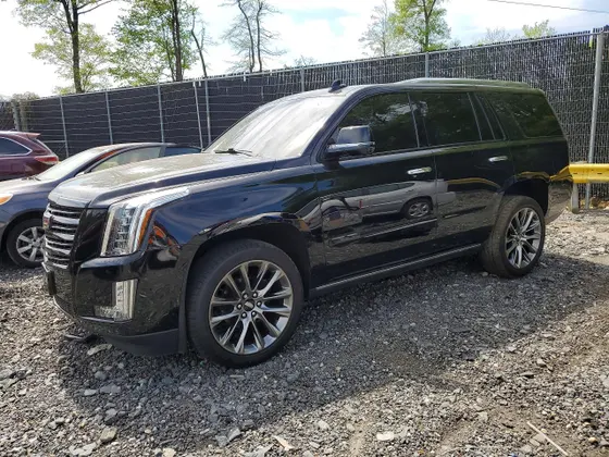 2020 Cadillac Escalade Platinum