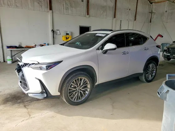 2023 Lexus NX NX 350 Luxury