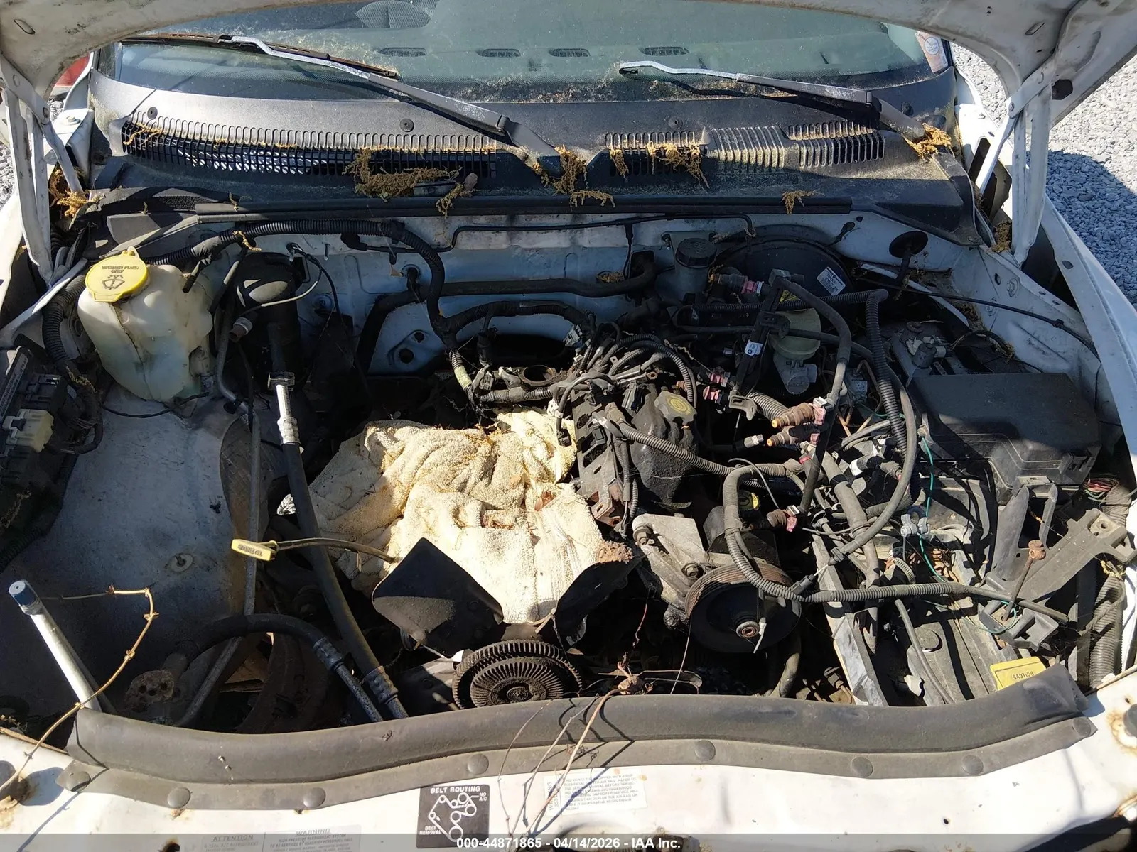 1997 Dodge Dakota SLT/SPORT