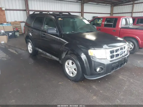 2011 Ford Escape XLT
