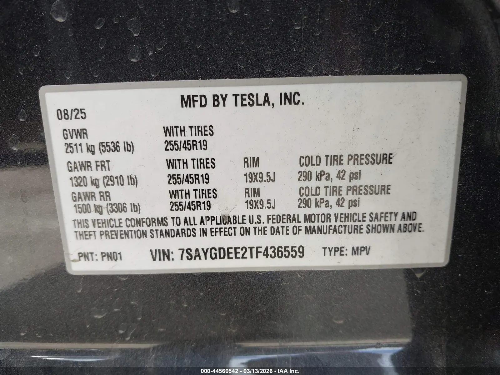 2026 Tesla Model Y Long Range Launch Series