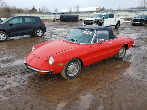 1971 Alfa Romeo Spider