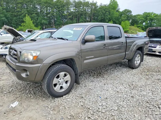 2009 Toyota Tacoma