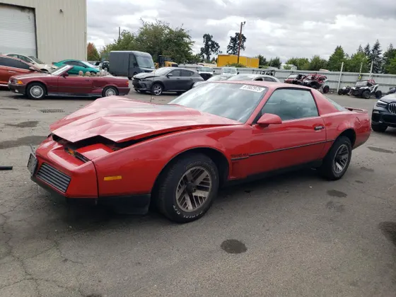 1984 Pontiac Firebird TRANS AM