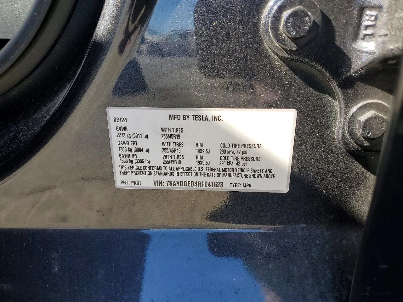 2024 Tesla Model Y