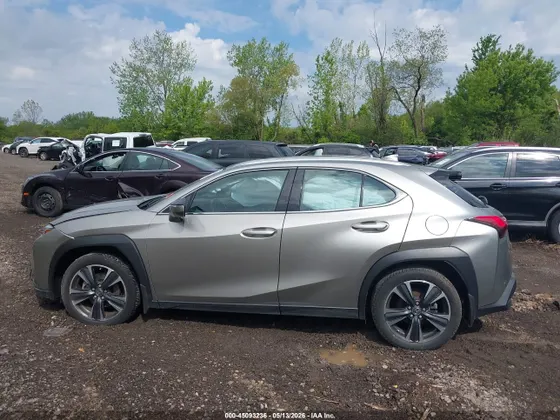 2021 Lexus UX UX 250h