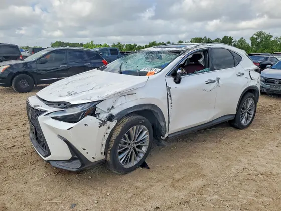 2023 Lexus NX NX 350h Premium