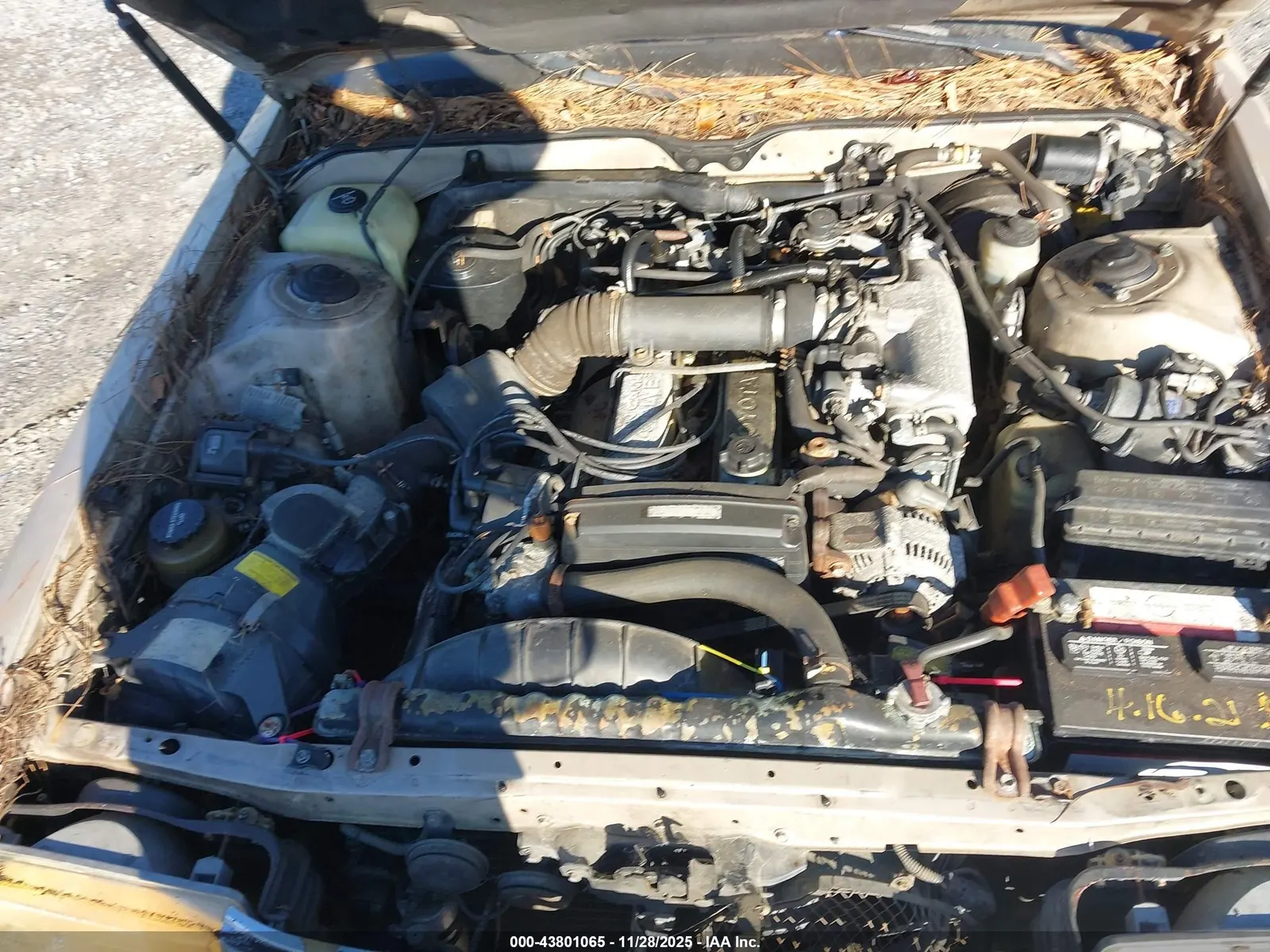 1991 Toyota CRESSIDA LUXURY