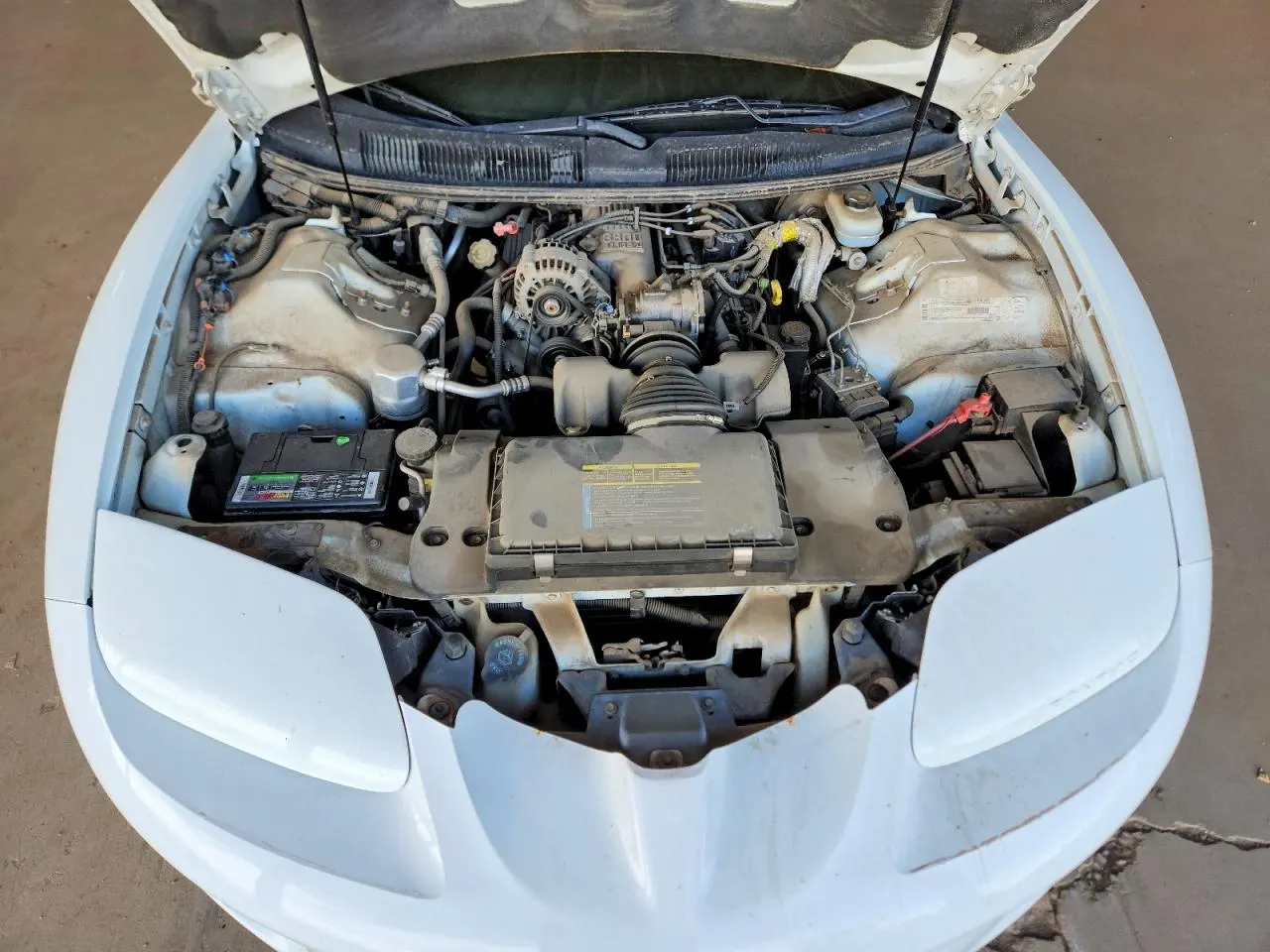 1999 Pontiac Firebird