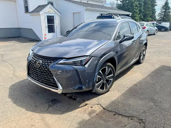 2024 Lexus UX UX 250h